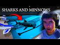 THE POOL IS INFESTED WITH SHARKS Sharks And Minnows Indie Horror Game