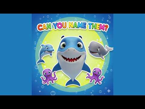 Sea Animals for Kids 🌊 | Learn Ocean Animals Names
