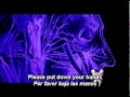 Acción Pirata Karaoke - I'll Be Your Mirror 