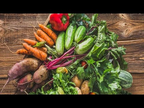 #TFH 480: 🥙Food Forest Abundance W/ Jim Gale  MUST LISTEN!!!