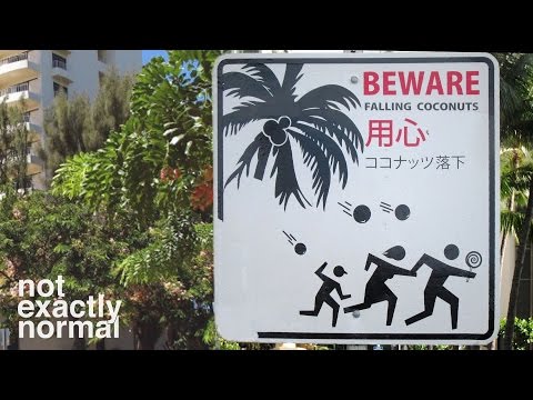 Are Coconuts Killing People?