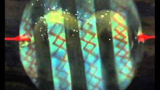 The Go! Team - T.O.R.N.A.D.O [Official Music Video]