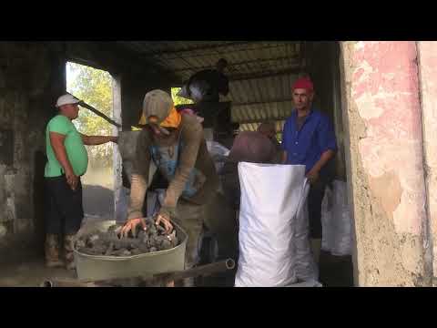 Incentivan en #LasTunas producción de carbón para la exportación