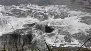 preview picture of video 'Blowhole in action at Muriwai Beach'
