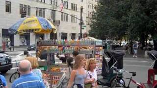 New York City Sightseeing, Part 14