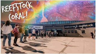 What You Missed! - Corals of ReefStock Australia 2022 | @ReefBuildersVideo