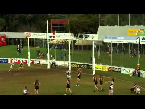 2014 Magarey Medal Count