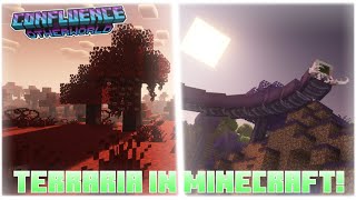 TERRARIA But in Minecraft!!!