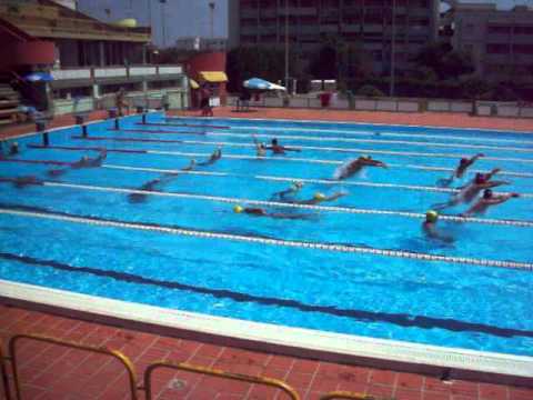 COGESE_Flying Dolphin_Delfino Volante_3 doc.MOV