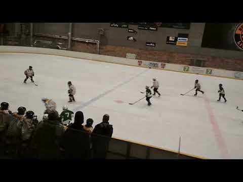 Hc draci Bílina x Hc Litvínov -  4. třída (3.3.2019) 3. tř.