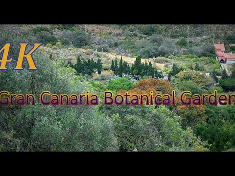 Jardim Botânico 4K Jardín Botánico Canario Viera y Clavijo
