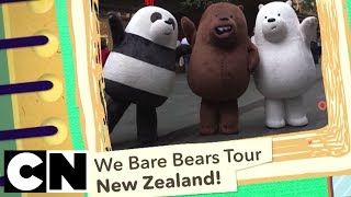 We Bare Bears | Bear Hugs Tour in New Zealand! 🇳🇿| Cartoon Network