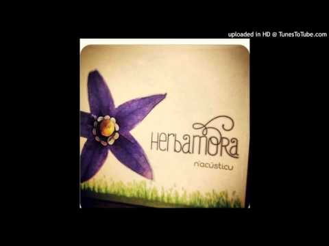 HERBAMORA. Amanecer de nueite.