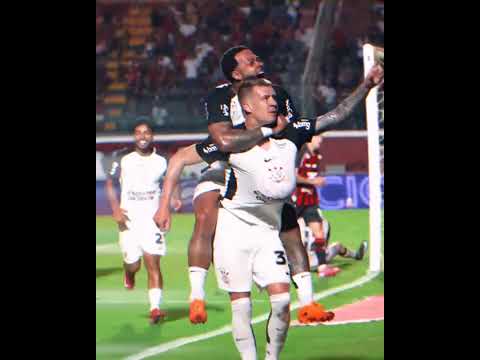 30 DO BRASILEIRÃO #campeonatobrasileiro #palmeiras #flamengo #cruzeiro #saopaulo #vasco #fortaleza