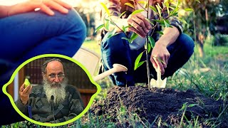 התחייה החקלאית בארץ ישראל ואתחלתא דגאולה – הרב אורי שרקי