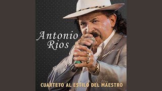 Solamente Tu Lyrics English Translation