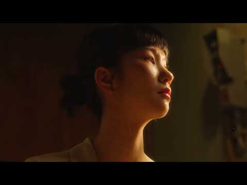 비디오 12