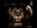 INVOCATION "AMON RA"