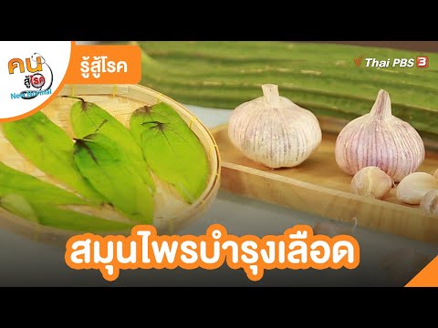 สมุนไพรบำรุงเลือด