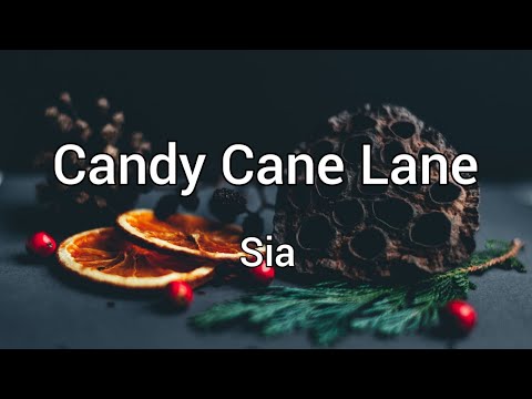 Candy Cane Lane - Sia | Lyrics [1 hour]