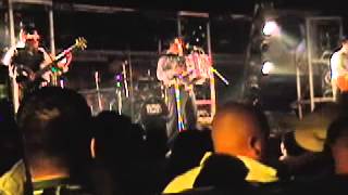 Quise Olvidarte   Los Palominos