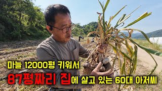 마늘 12000평 키워서 87평짜리 집에 살고 있는 60대 아저씨