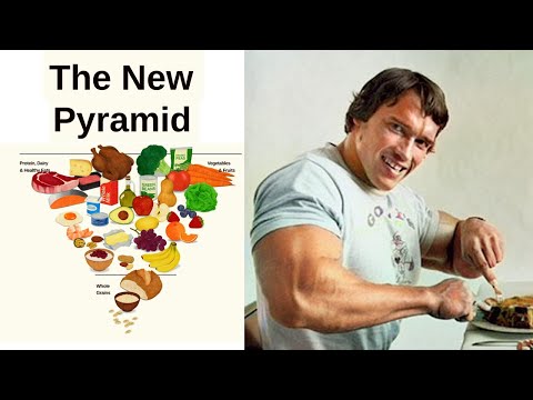 The New Food Pyramid: What Bodybuilders Knew Long Before Nutrition Policy #bodybuilding #nutrition