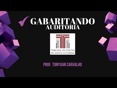 Gabaritando Auditoria Governamental para TCE SC/TCU – Auditoria Governamental: tipos e formas