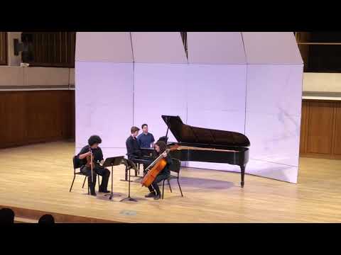 Kinder trio in G Major, Op. 35, No. 2 - I. Allegro - Klengel