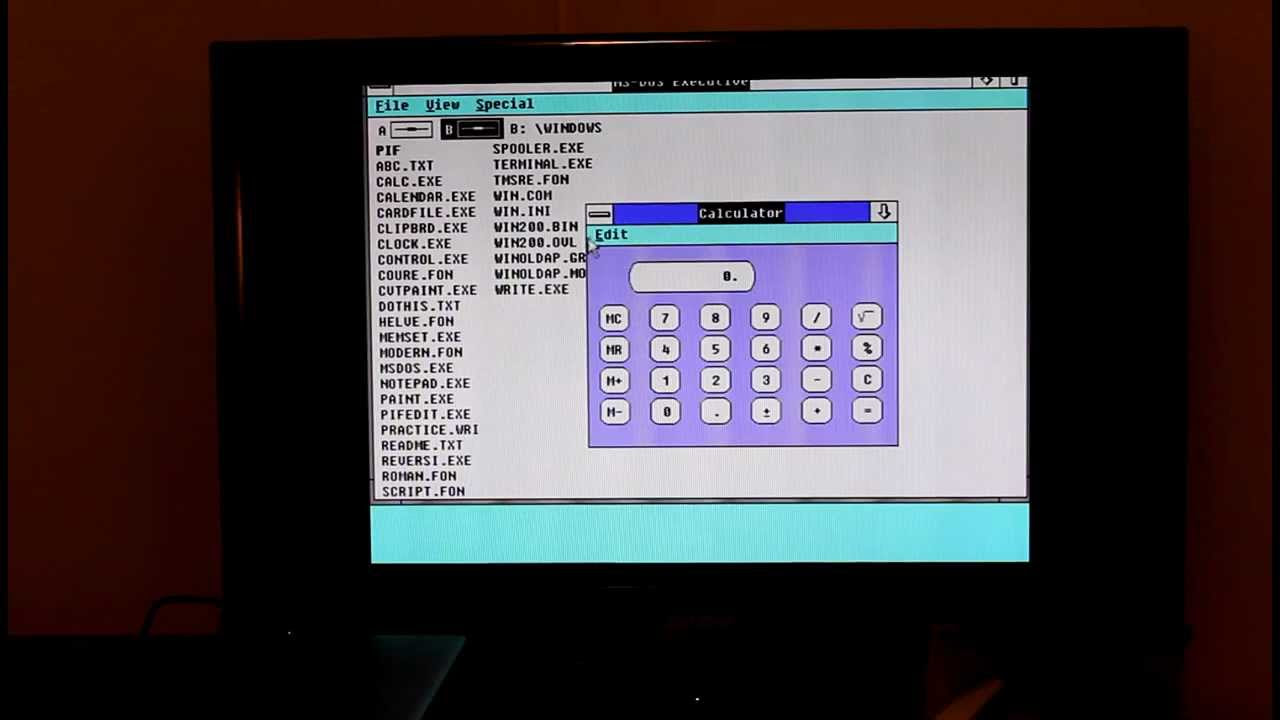 Sega TeraDrive with Windows 3.00a and Nintendo Game Boy