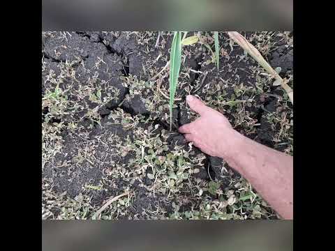 Év végi összefoglaló 2022 Mtz 80