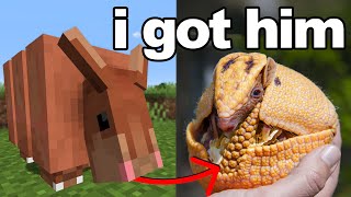 I Gave My Brother a Minecraft Armadillo in Real Life