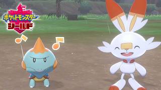 ワイルドエリアの洗礼を受ける男【ポケモン剣盾】＃３