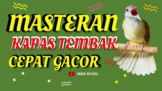 Download lagu Masteran Burung Kapas Tembak Cepat Gacor - Man Kicau mp3 Download lagu Masteran Burung Kapas Tembak Cepat Gacor - Man Kicau mp3