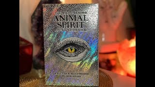 ❤️ The wild unknown Spirit animal cards ❤️ Unbloxing  2019