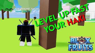 how to level up your Haki FAST in blox fruit