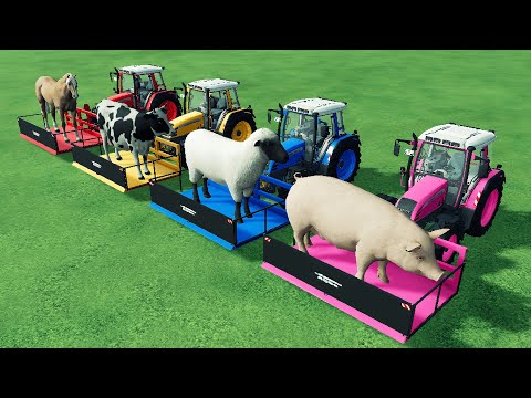 Work with Colors - Giant Horse, Cow, Sheep and Pig Transporting with FENDT Tractors - FS 22