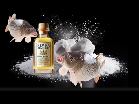 Ultimate China Carp Bait Recipe | White Flour, Brown Flour & Kewra!"