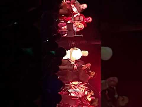 electric dreams weekender 2019 Bognor Regis