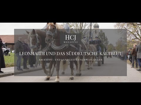 Leonhardi und das Süddeutsche Kaltblut - Haupt- und Landgestüt Schwaiganger