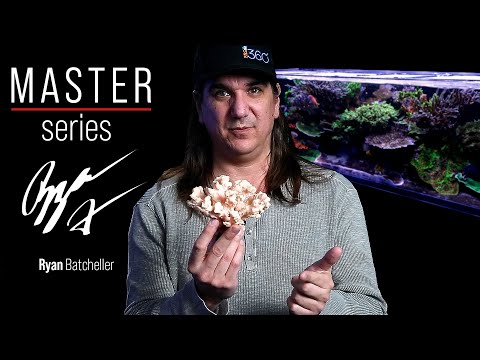The REAL Truth Behind Nutrients in Our Reef Tanks. | BRStv Master Series: Nitrate & Phosphate