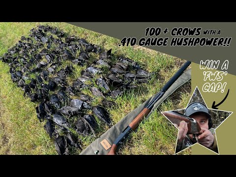 Crow Shooting | 100+ Crows | Decoying with a  .410 Hush Power | Silage Pit
