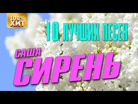 Саша Сирень - 10 лучших песен | Русский шансон