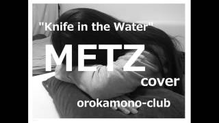 Knife in the Water/METZ(cover by orokamono-club)