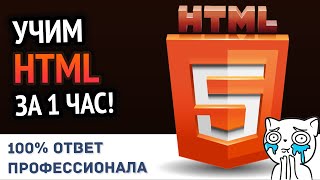 Учим HTML за 1 час! #От Профессионала | HD Remake