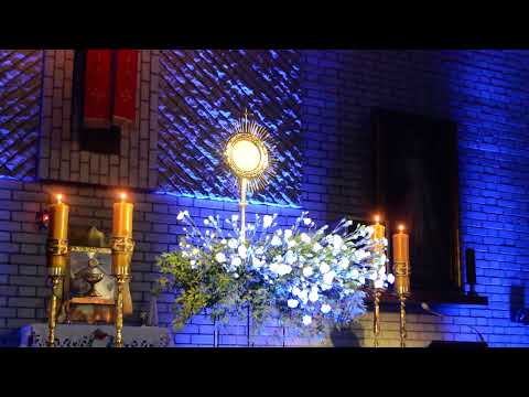 Duchu Święty, Stworzycielu