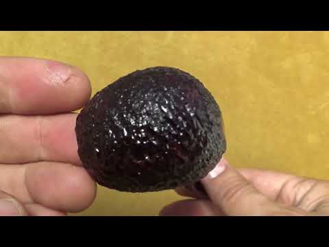 Pipa Savinelli St. Nicholas 2023 - 626 -  filtro 9mm