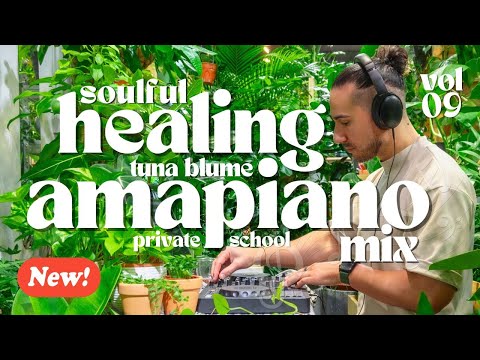 SOULFUL AMAPIANO MIX 2026 🇿🇦 Vol. 09 || Kelvin Momo, Kabza de Small, Bandros, Tycoon, Stixx, De Rose