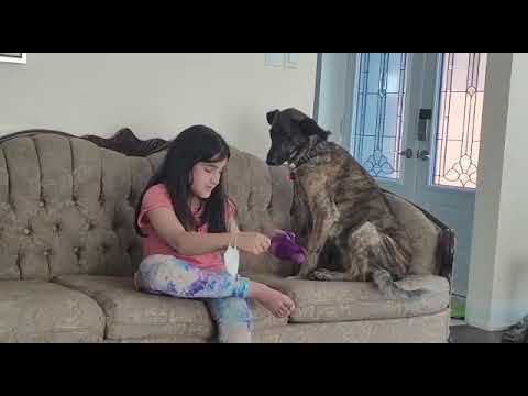 Elahe and her sister 😍😚 الهه خانوم و خواهر مهربونش