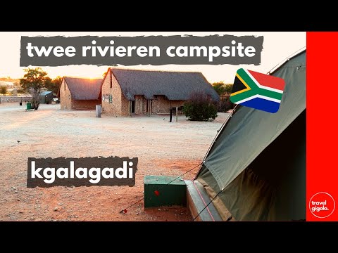 Campsite Review: Twee Rivieren, Kgalagadi Park (Camping Northern Cape, South Africa)[National Parks]